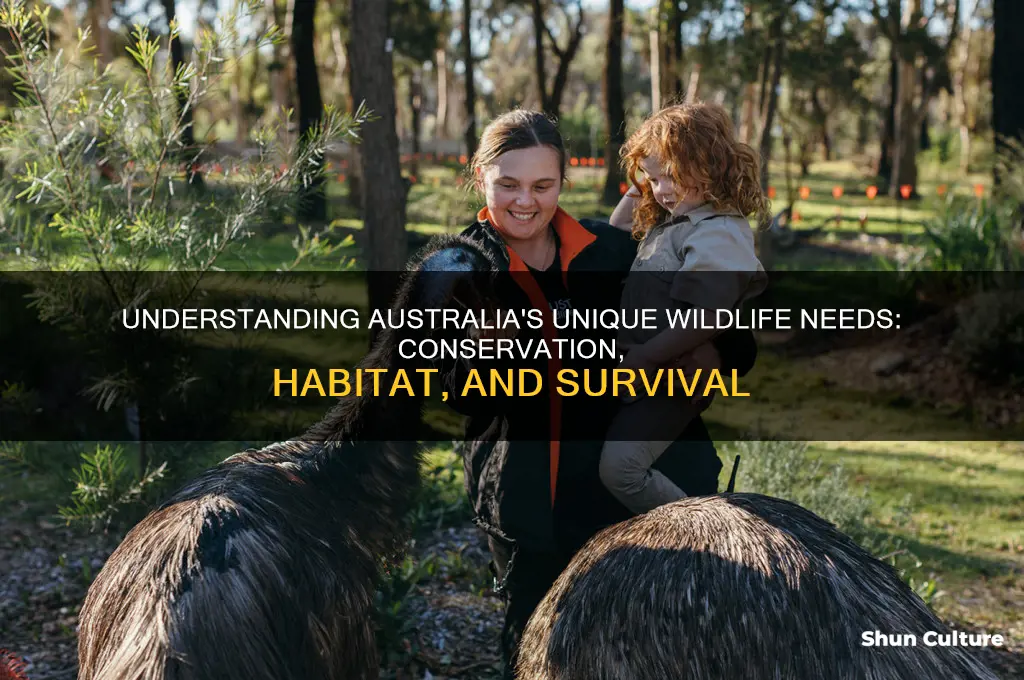what do the animals in australia need