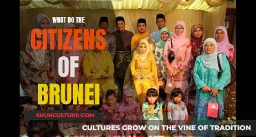 Brunei's Citizens: Their Daily Lives and Customs