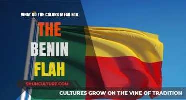 Unveiling the Symbolism: A Guide to Benin Flag Colors