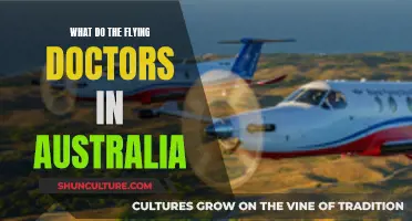 The Flying Doctors: Australia's Unique Healthcare Heroes