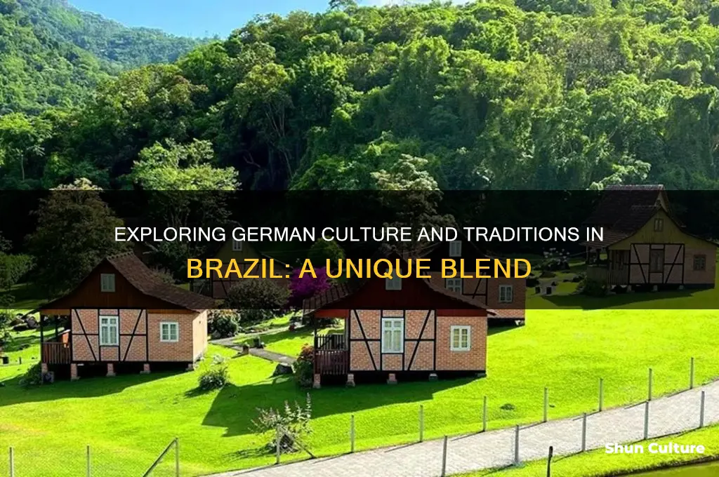 what do the german people do in brazil