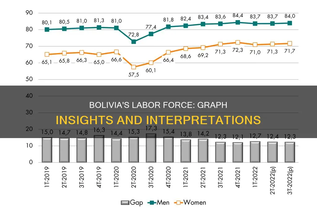 what do the graphs indicate about bolivia