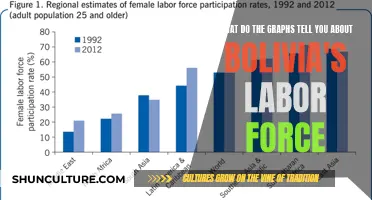 Bolivia's Labor Force Insights: Graphical Analysis