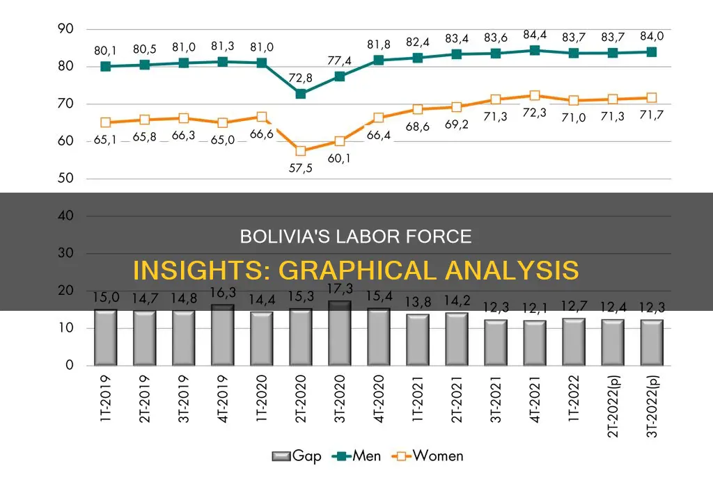 what do the graphs tell you about bolivia