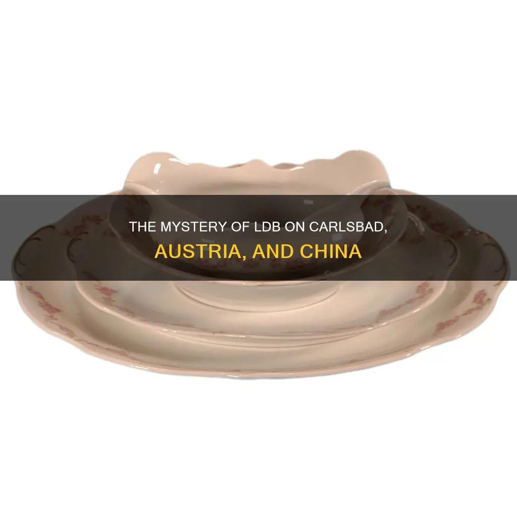 what do the ldb mean on carlsbad austria china