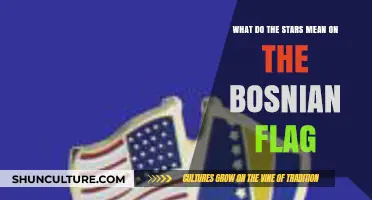 Unveiling the Bosnian Flag's Starry Mystery: Symbolism and Meaning Explained