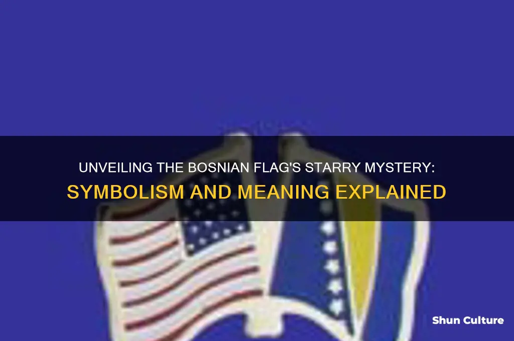 what do the stars mean on the bosnian flag