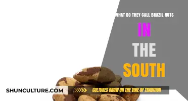 Southern Names for Brazil Nuts: Uncovering Regional Terminology in the South