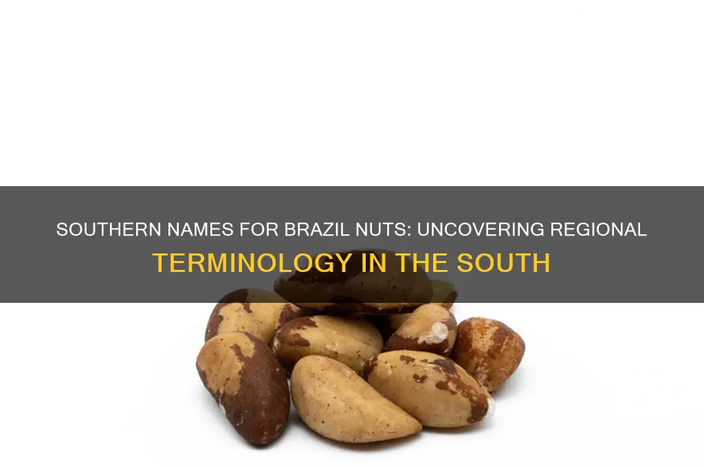 what do they call brazil nuts in the south