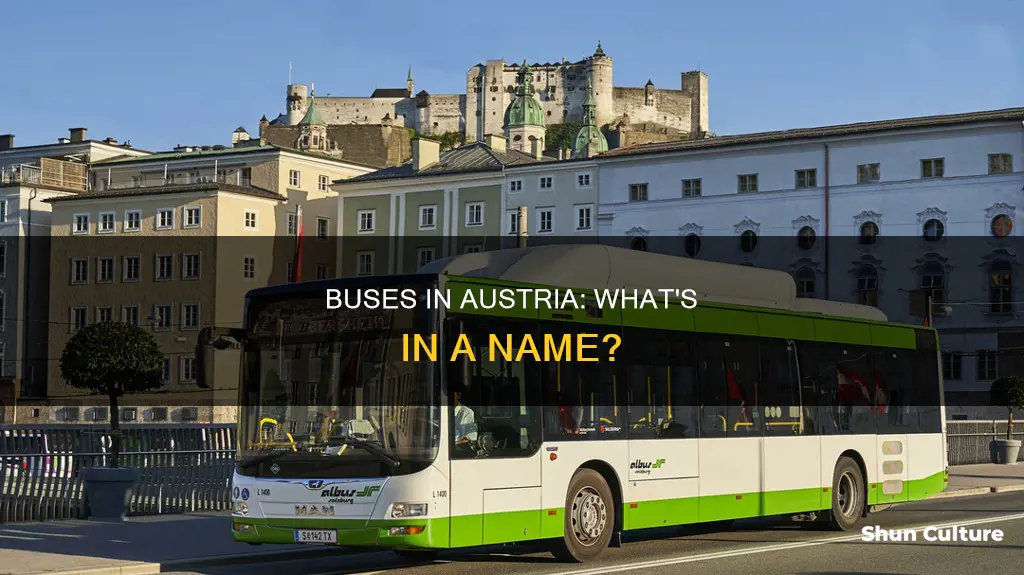 what do they call buses in austria