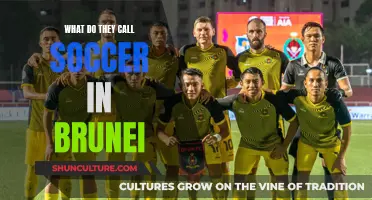 The Bruneian Term for Soccer and Its Origins