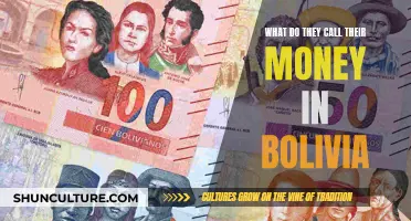 Bolivian Currency: What's in a Name?