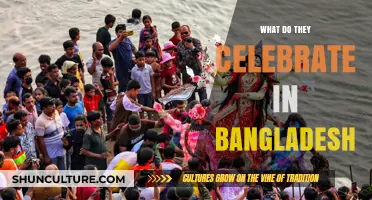 Festivals and Celebrations in Bangladesh: A Cultural Journey