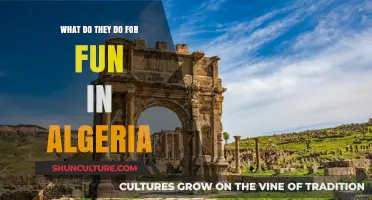 Exploring Algeria's Vibrant Leisure Scene: Fun Activities and Traditions