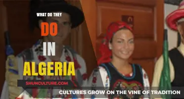 Exploring Algeria: Culture, Traditions, and Daily Life in North Africa