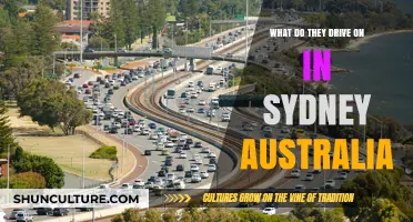 Sydney's Roads: Exploring What Vehicles Dominate Australia's Iconic City