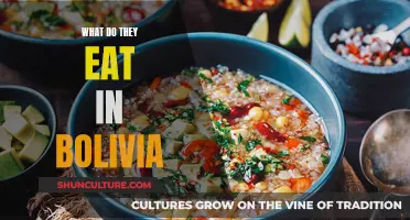 Exploring the Tasty Delights of Bolivian Cuisine