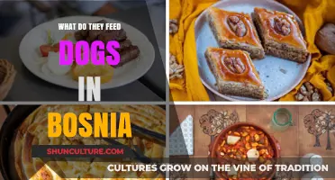 Exploring Bosnia's Canine Diet: What Do Dogs Eat There?