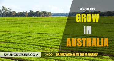 Explore Australia's Agricultural Abundance