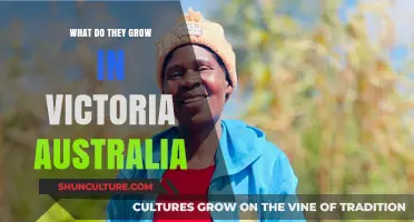 Explore Victoria's Agricultural Bounty