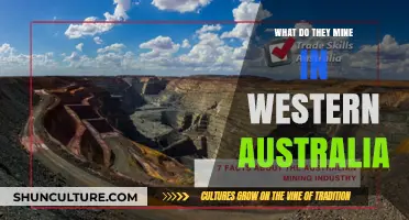 Exploring Western Australia's Mining Treasures