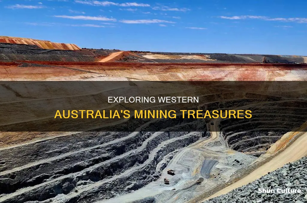 what do they mine in western australia