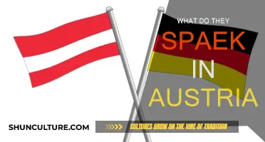 Languages of Austria: What Do Austrians Speak?