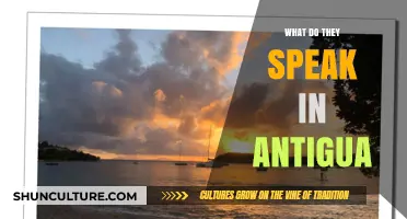 Languages of Antigua: Exploring the Island's Official and Spoken Tongues