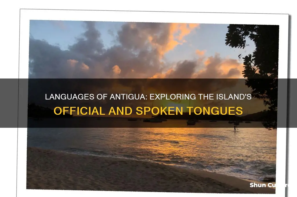what do they speak in antigua