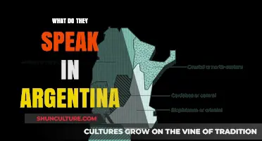 Exploring Argentina: A Guide to the Country's Spoken Languages