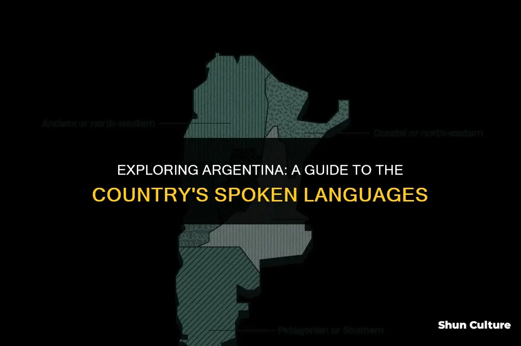 what do they speak in argentina