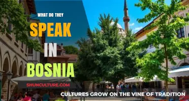 Languages of Bosnia: Exploring the Diverse Tongues Spoken in the Country