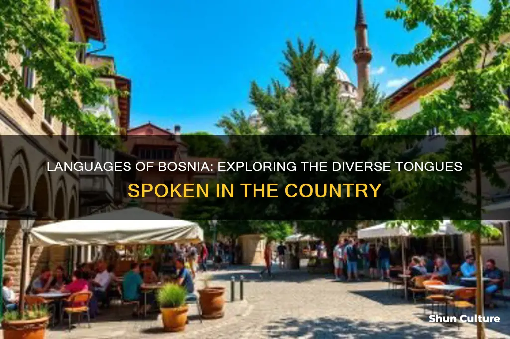 what do they speak in bosnia