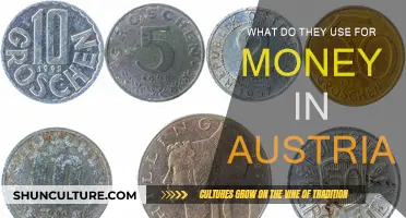 Austria's Currency: What's in Their Wallets?