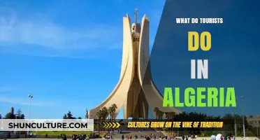 Exploring Algeria: Top Tourist Activities and Must-See Attractions Revealed