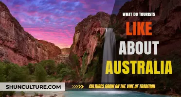 Exploring Australia: What Makes it a Tourist Magnet?