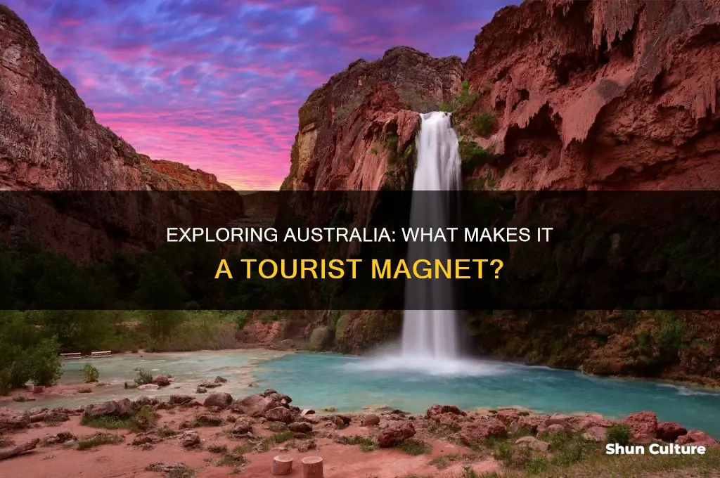 what do tourists like about australia