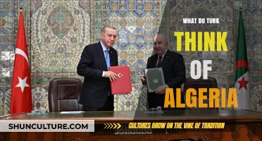 Turkish Perspectives on Algeria: Cultural, Historical, and Political Insights