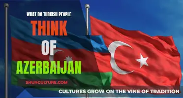 Turkish Views on Azerbaijan: A Cultural Perspective