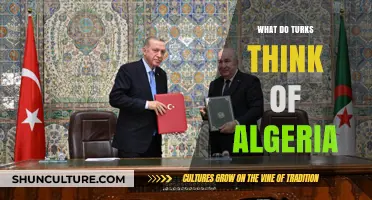 Turkish Perspectives on Algeria: Cultural Connections and Mutual Perceptions