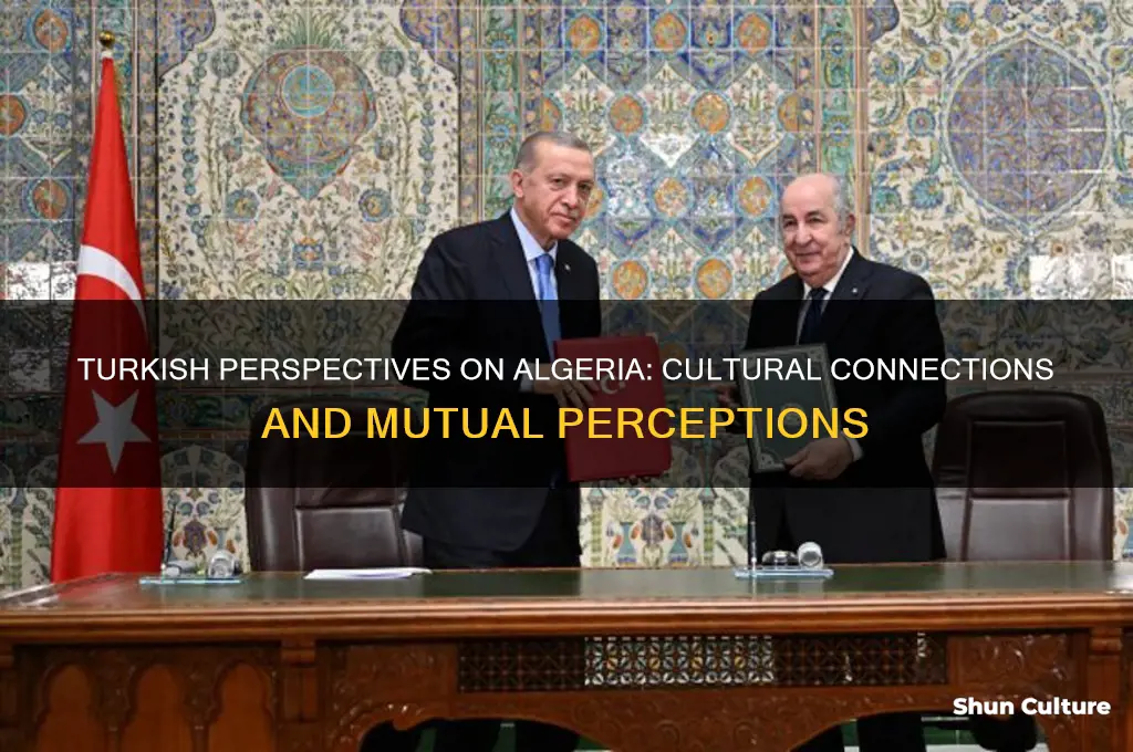 what do turks think of algeria