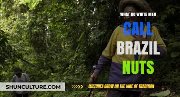 What Do White Men Call Brazil Nuts? Uncovering the Controversial Name