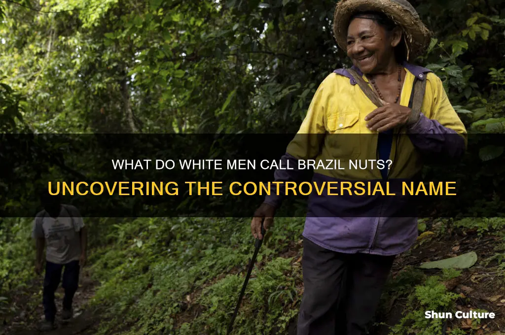 what do white men call brazil nuts