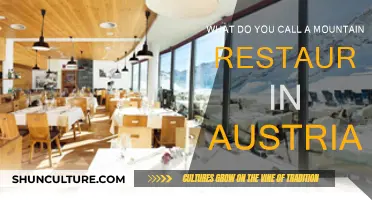 Mountain Dining: Austria's Alpine Restaurant Names