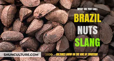 Slang for Brazil Nuts: Uncovering the Quirky Names You Never Knew
