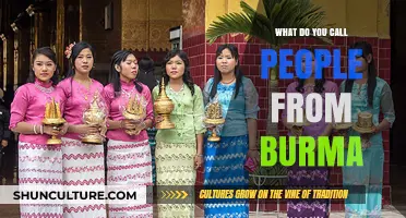Understanding the Diverse Identities of People from Burma