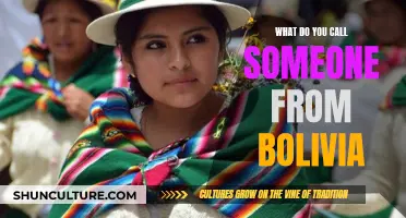 The Many Names of Bolivians: A Cultural Exploration