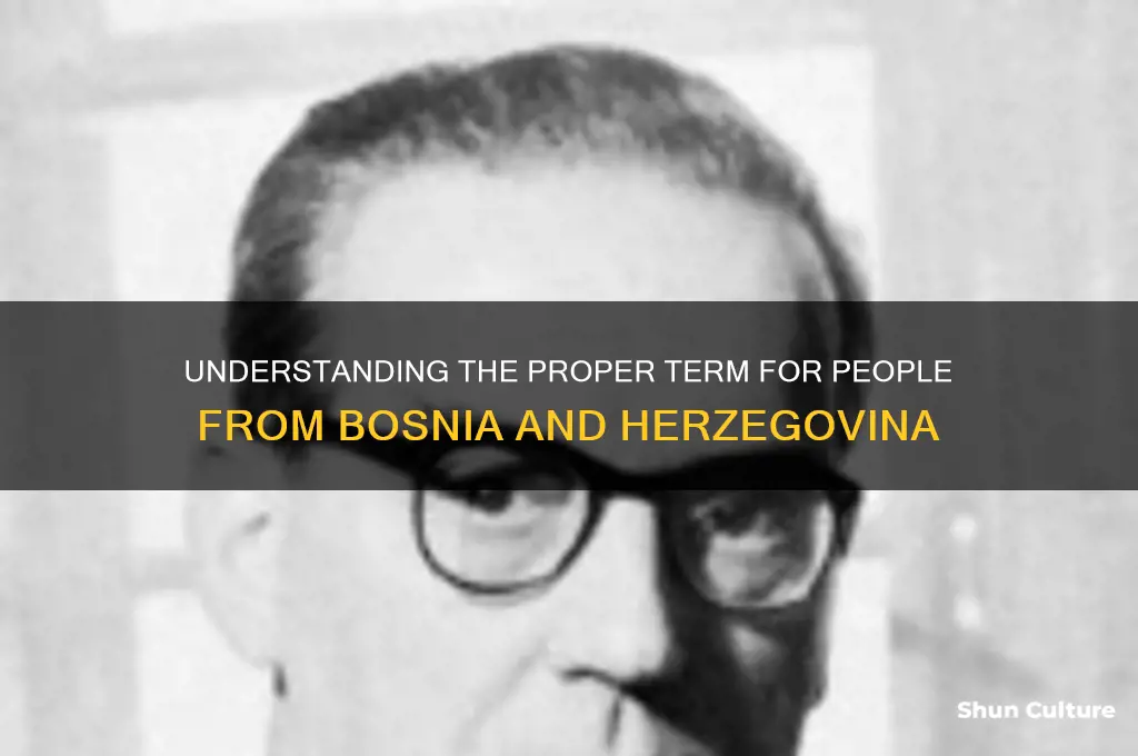 what do you call someone from bosnia and herzegovina