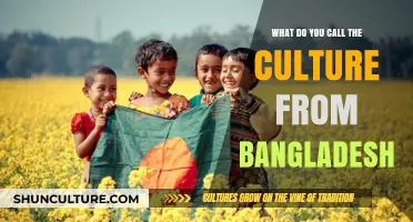 Exploring the Rich and Diverse Culture of Bangladesh: A Comprehensive Guide