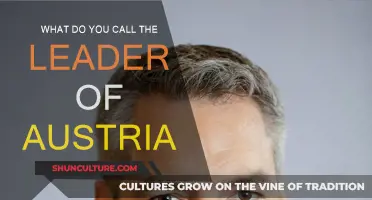 Who's the Boss? Understanding Austria's Leadership Title